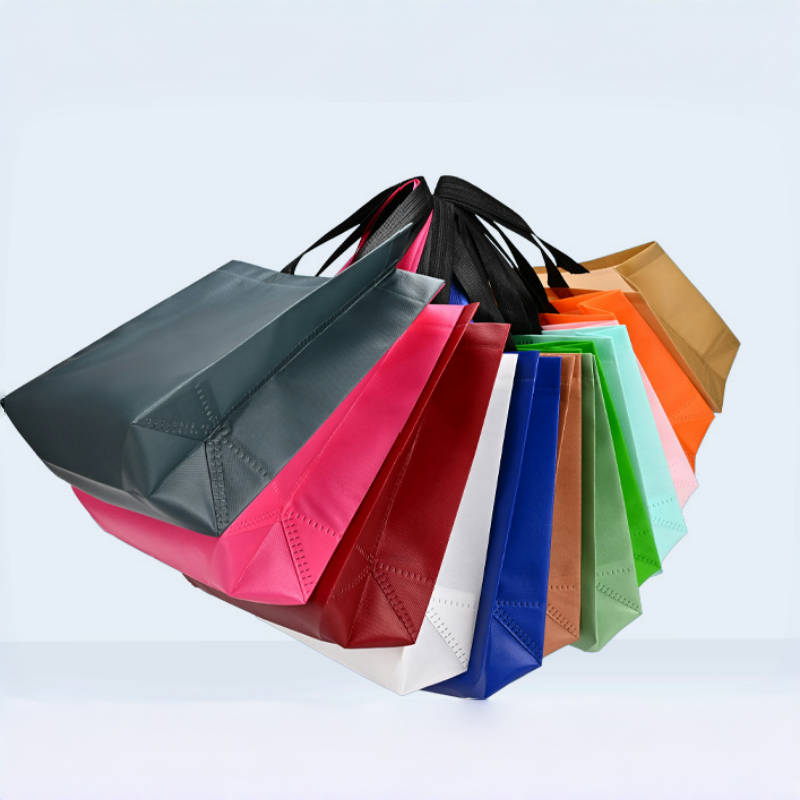 المرأة حقيبة تسوق قابلة للطي ق - مراجعة Women Bags For Eid وسعره