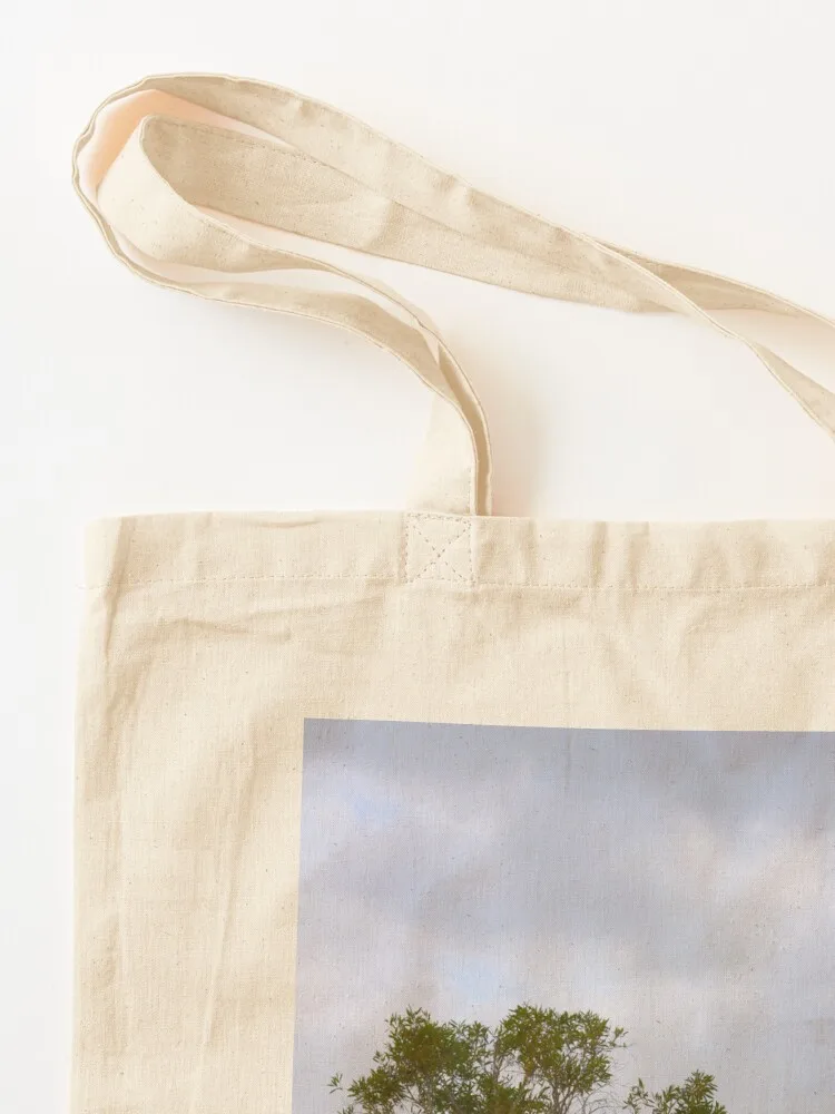 شجرة في بحيرة ماكنزي، جزيرة فر - مراجعة Women Bags Australia وسعره